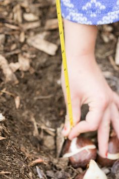 photo of young girl planting tulip bulbs Grow Tulips