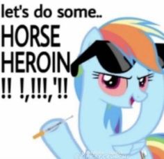 My Little Pony Rainbow Dash, Amanda Young, Mlp Memes, Silly Pictures, My Chemical