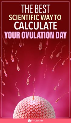 What To Eat During Ovulation Week, Tracking Ovulation, Ovulatory Cycle, How To Track Ovulation Cycle, Honey And Lemon Drink, Post Ovulation Clarity, Ovulation Calculator, Chances Of Getting Pregnant, Turmeric Health Benefits