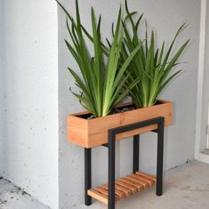 there is a planter with two plants in it