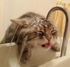 a cat with its tongue hanging out of a faucet in a bathroom sink