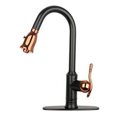 a black faucet with copper accents on the handle and side spout is shown in front of a white background