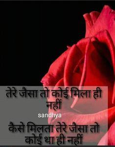 a red rose with the words sandhyya written in english and an image of a pink rose