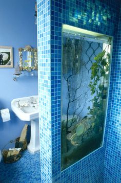 a bathroom with blue walls and tiled floors