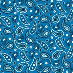 a blue and white paisley print fabric