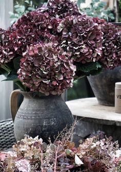 two vases filled with purple flowers sitting on top of a table next to each other