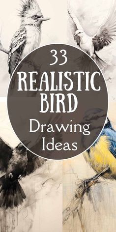 three realistic bird drawings with the words 3 realistic bird drawing ideas on it's side