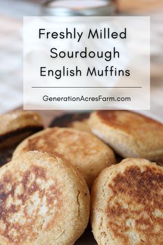 freshly milled sourdough english muffins in pile on wooden cutting board with sourdough starter in the background Muffin Healthy, Sourdough English Muffin Recipe, Sourdough English Muffins, English Muffin Recipes, Sourdough Starter Recipes, Dough Starter, Homemade Sourdough