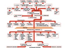 a flow diagram with several different types of information in the bottom left hand corner and red arrows pointing to each other