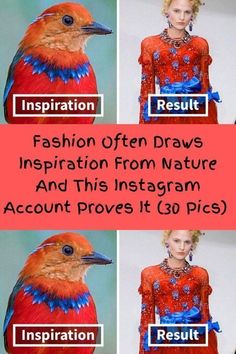 four different pictures with the words fashion often draws inspiration from nature and this instagram account proves it 30 pics