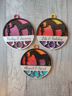 three horse ornament hanging on a wooden wall with the names and colors of their horses