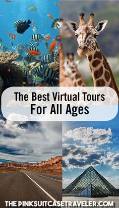 the best virtual tours for all ages are in this postcard from pink suitcase travel