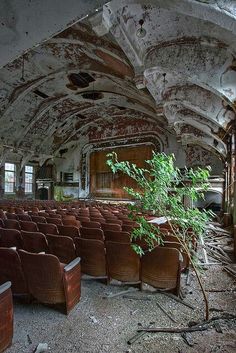 an abandoned auditorium with chairs and a tree in the middle