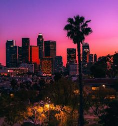 the city skyline is lit up at night, with palm trees and buildings in the foreground