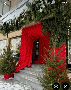 christmas trees are lined up in front of a building with red curtains on the windows