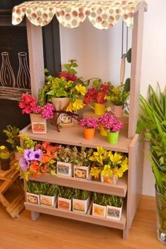 there are many potted plants on the shelf