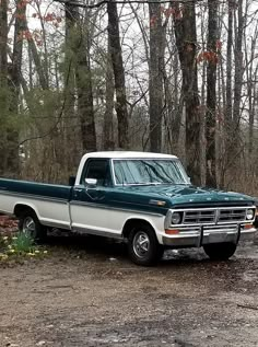 an old pickup truck parked in the middle of a wooded area with no one around it