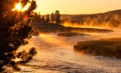 the sun is setting over a river with fog and trees in the foreground that reads yellowstone