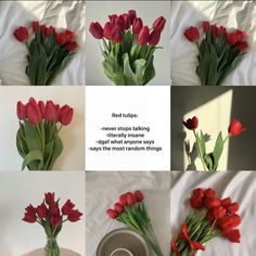 red tulips are arranged in four different ways to make a beautiful bouquet for someone's special occasion