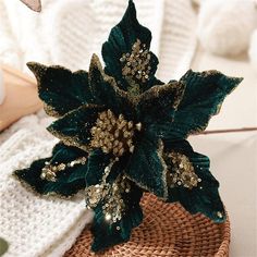 a green poinsettia sitting on top of a wicker basket