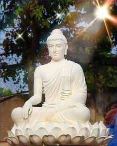 a white buddha statue sitting on top of a lotus flower bowl in front of a tree