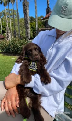 a person sitting on a bench holding a small brown dog in their arms with palm trees behind them