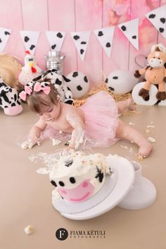 Bolo Panda, 1 Year Photos, Farm Cake, Smash The Cake, Smash Cake, Cake Smash, Girl Birthday, Cow