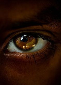 Eye Of Horus Aesthetic, Yellow Eyes Aesthetic Male, Amber Eyes Aesthetic Male, Eyepatch Aesthetic Male, Werewolf Eyes Aesthetic, Amber Eyes Men, Eye Looking To The Side, Glowing Eyes Aesthetic, Golden Eyes Aesthetic