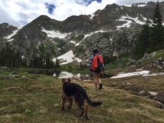 a person with a backpack and a dog in the mountains