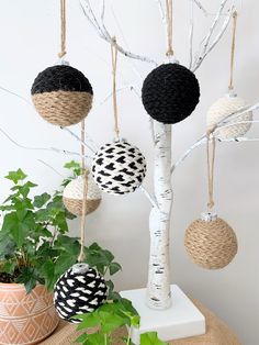 an assortment of ornaments hanging from a tree in front of a white wall and potted plant