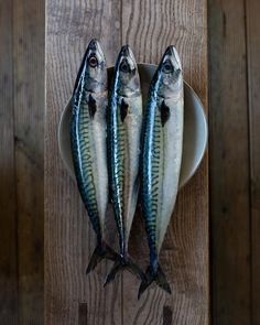 three fish sitting on top of a white plate next to a wooden wall with planks