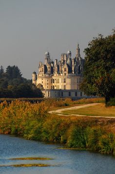 a large castle sitting on top of a lush green field next to a lake in front of it