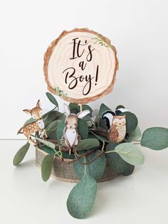 it's a boy wooden sign surrounded by greenery and woodland animal figurines