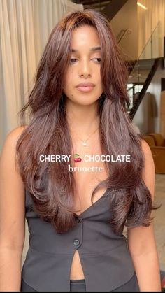 Hair Dye Brown Shades, Auburn Hair On Dark Hair, What To Dye Brown Hair, Penny Brown Hair, Chocolate Dye Hair, Cherry Red Brunette Hair, Brown Hair Cherry Highlights, Cherry Chocolate Brown Hair Color, Red Brunette Hair Balayage