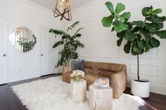 a living room filled with furniture and a potted plant