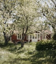 a small red house in the middle of some trees