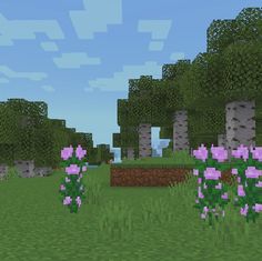 the flowers are blooming in this minecraft garden