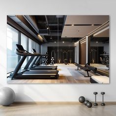 a gym with treadmills and exercise balls in the foreground, framed by glass