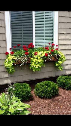 a window box filled with red and green flowers