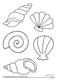 four seashells coloring page for kids to print out and color on the beach