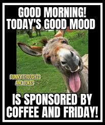 a donkey with its tongue hanging out and the caption good morning today's good mood is sponsored by coffee and friday