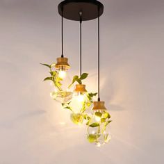 three lights hanging from a ceiling with plants in them