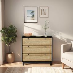 a living room scene with focus on the chest of drawers and potted plant in the corner