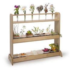 a wooden shelf filled with plants on top of each other and flowers in vases