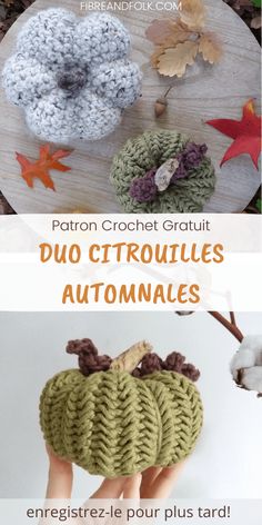 crocheted pumpkins with leaves on them and text that reads, patron crochet