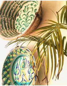 two plates with designs on them are next to a palm tree and a potted plant