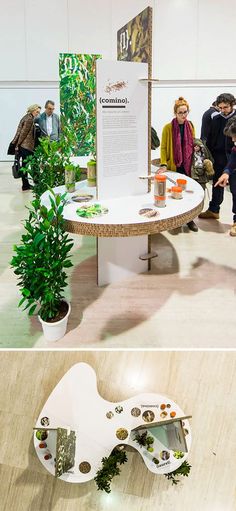 Plants Exhibition Design, Experience Design Exhibitions, Mini Exhibition Design, Display Table Design Exhibition, Creative Exhibition Design, Cool Exhibition Design, History Exhibition Design, Sustainable Exhibition Design, Exhibition Table Display