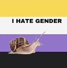 Funny Flags, Nonbinary Flag, Non Binary Pride, Non Binary, No Credit, Lgbt Pride, Pride Flags