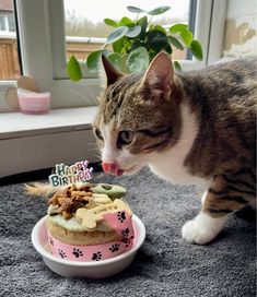 a cat standing next to a birthday cake