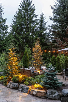 A guide on creating a privacy landscape using conifer plants for added greenery and seclusion in your outdoor space. Best Privacy Trees, Landscape Island, New Patio Ideas, Hill Landscaping, Fall Landscaping, Wooded Landscape, Evergreen Landscape, Shrubs For Privacy, Low Light House Plants